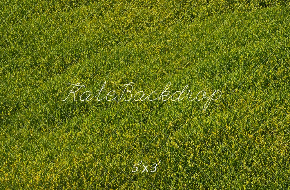Kate Green Grass Field Floor Backdrop Designed by Emetselch - Kate Backdrop AU