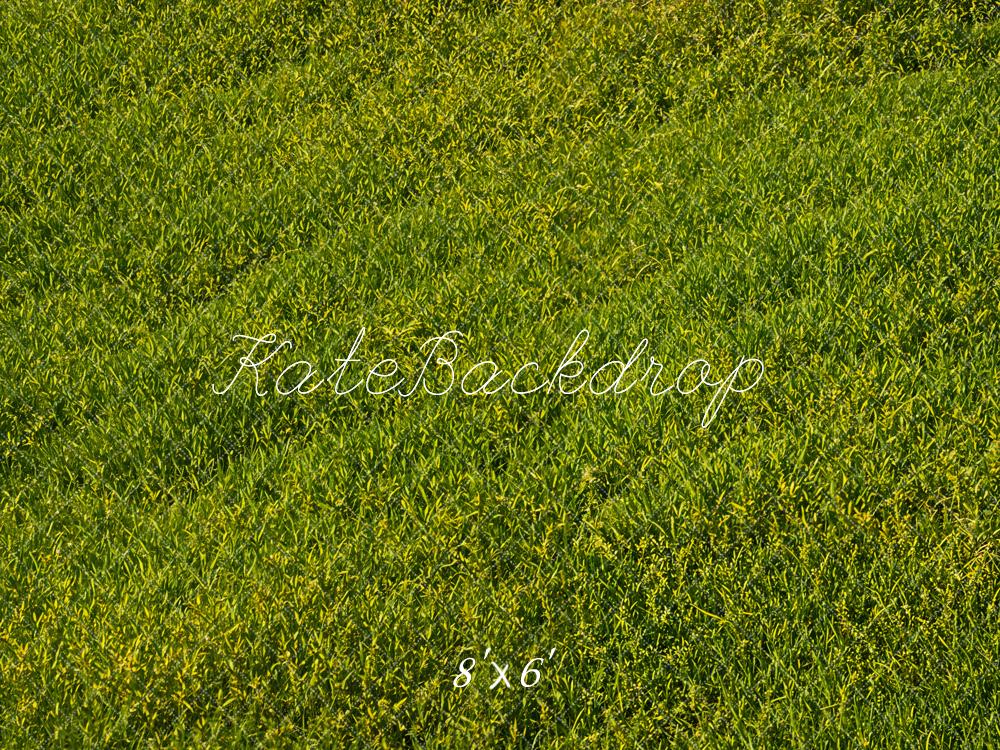 Kate Green Grass Field Floor Backdrop Designed by Emetselch - Kate Backdrop AU