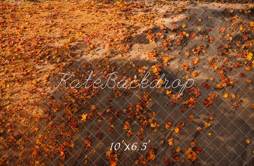 Kate Fall Leaves Ground Floor Backdrop Designed by Emetselch - Kate Backdrop AU