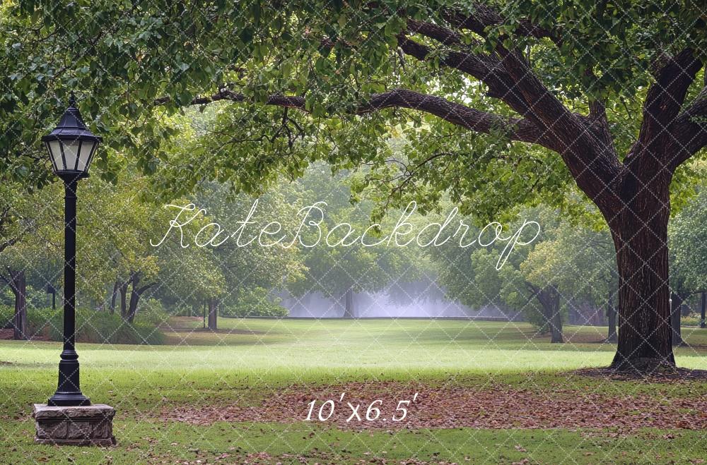 Kate Fine Art Park Fall Backdrop Designed by Mini MakeBelieve - Kate Backdrop AU