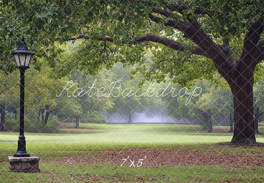 Kate Fine Art Park Fall Backdrop Designed by Mini MakeBelieve - Kate Backdrop AU
