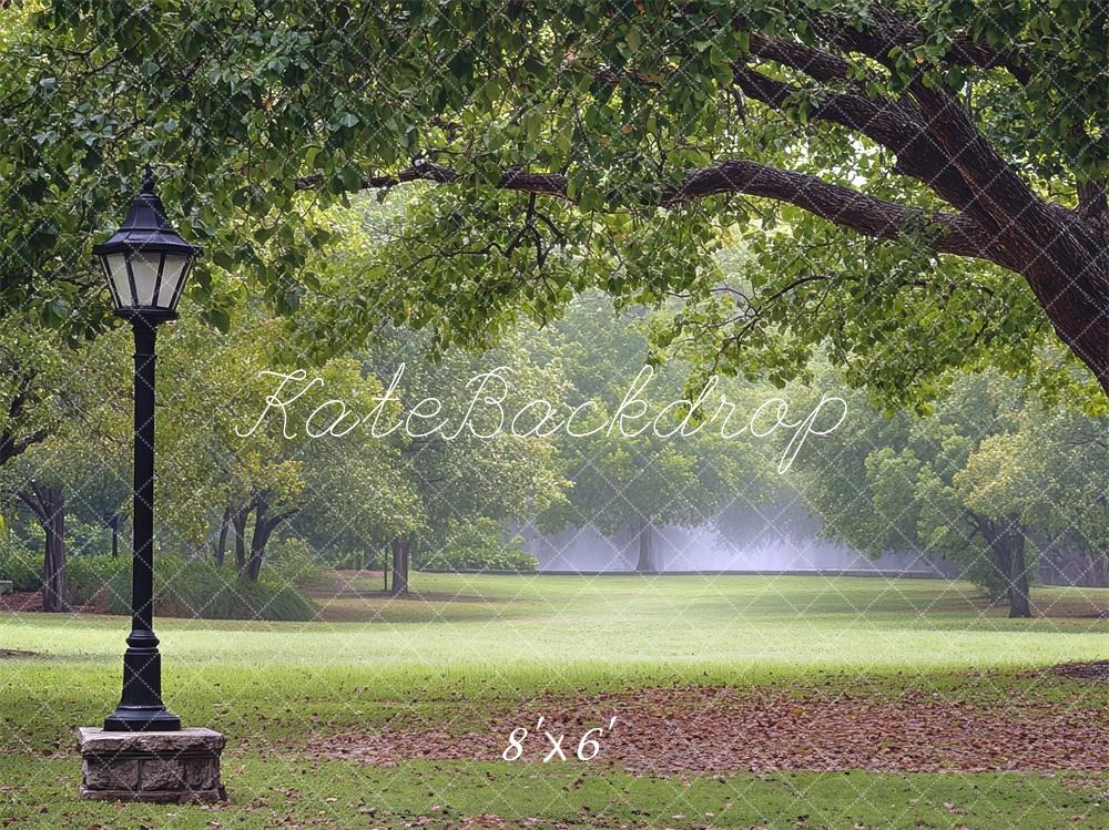Kate Fine Art Park Fall Backdrop Designed by Mini MakeBelieve - Kate Backdrop AU