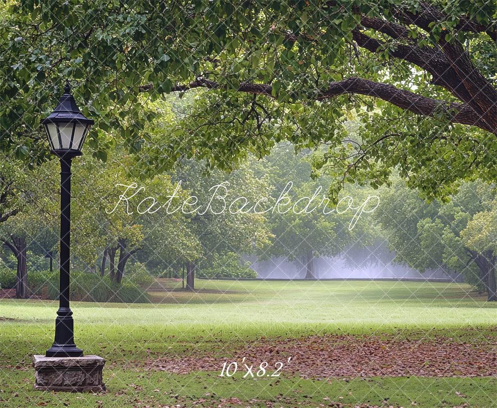 Kate Fine Art Park Fall Backdrop Designed by Mini MakeBelieve - Kate Backdrop AU