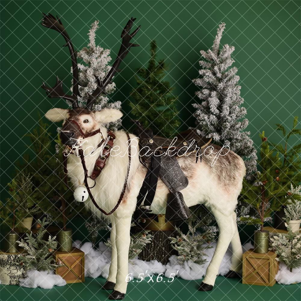 Kate Winter Reindeer on Green Backdrop Designed by Mandy Ringe Photography - Kate Backdrop AU