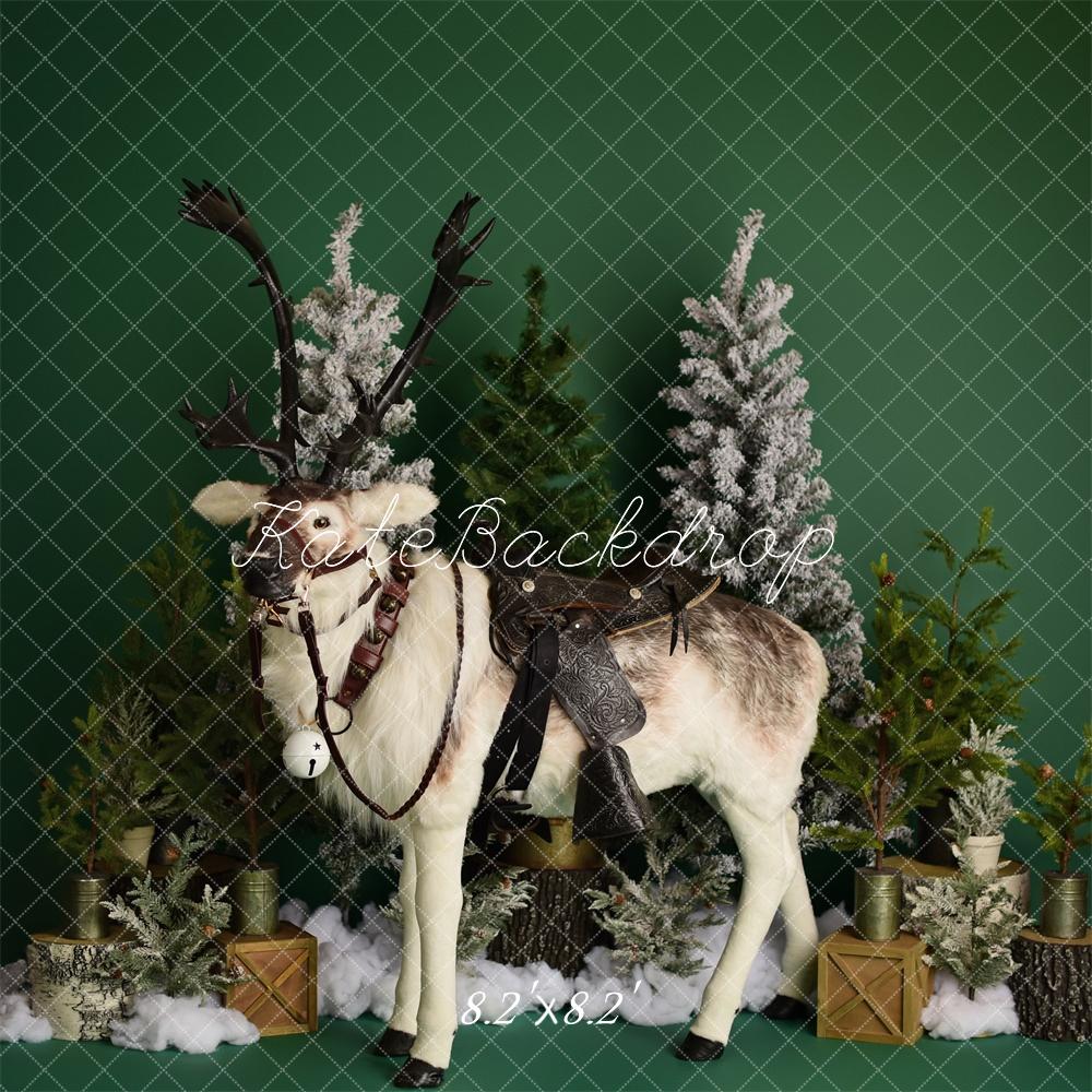 Kate Winter Reindeer on Green Backdrop Designed by Mandy Ringe Photography - Kate Backdrop AU