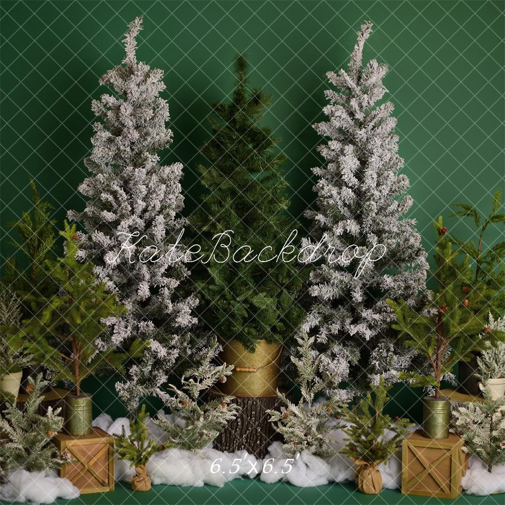 Kate Winter Trees on Green Backdrop Designed by Mandy Ringe Photography - Kate Backdrop AU