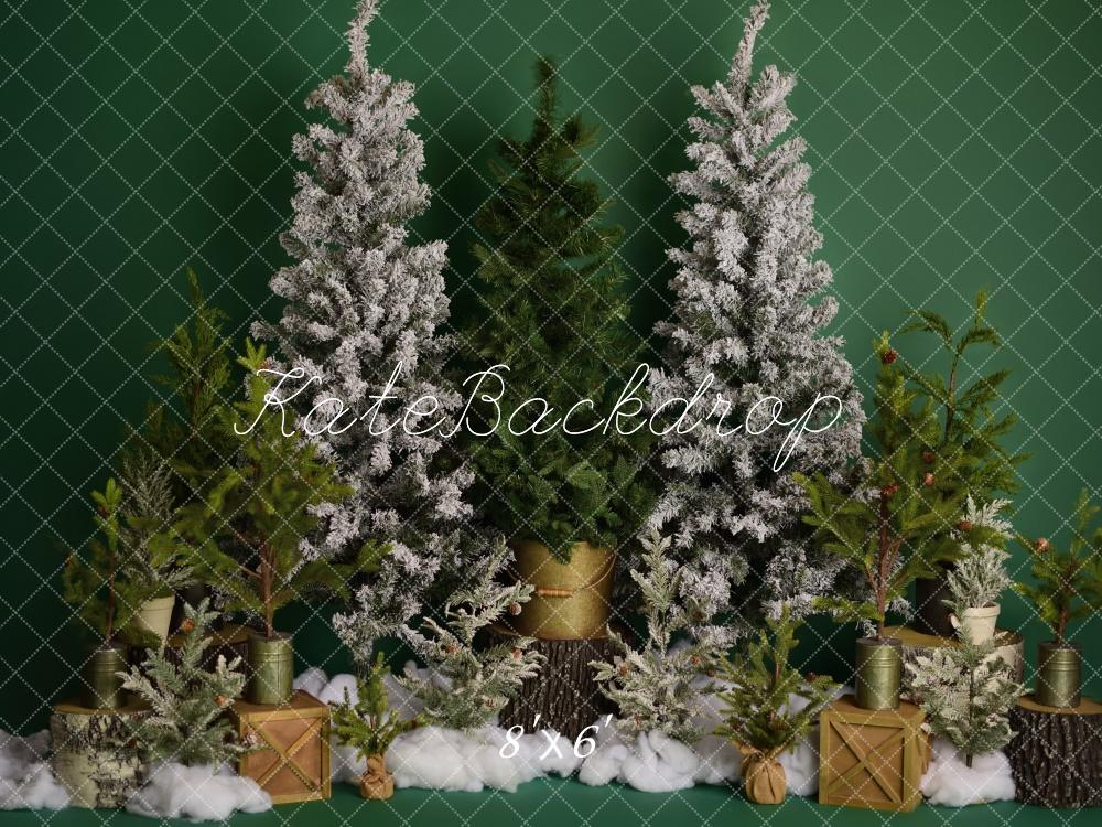 Kate Winter Trees on Green Backdrop Designed by Mandy Ringe Photography - Kate Backdrop AU