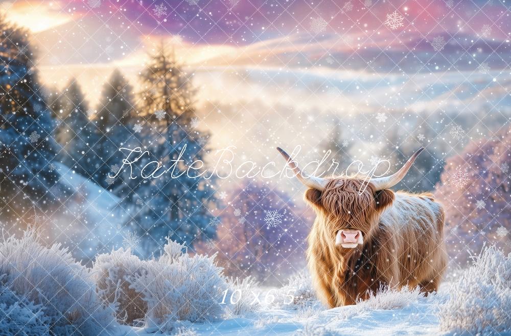Kate Winter Highland Cow Backdrop Designed by Patty Robert - Kate Backdrop AU