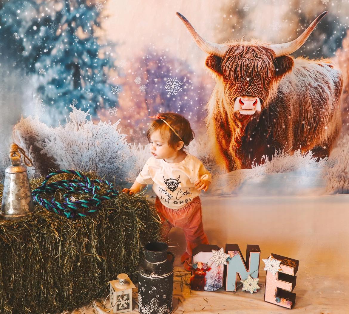 Kate Winter Highland Cow Backdrop Designed by Patty Robert - Kate Backdrop AU