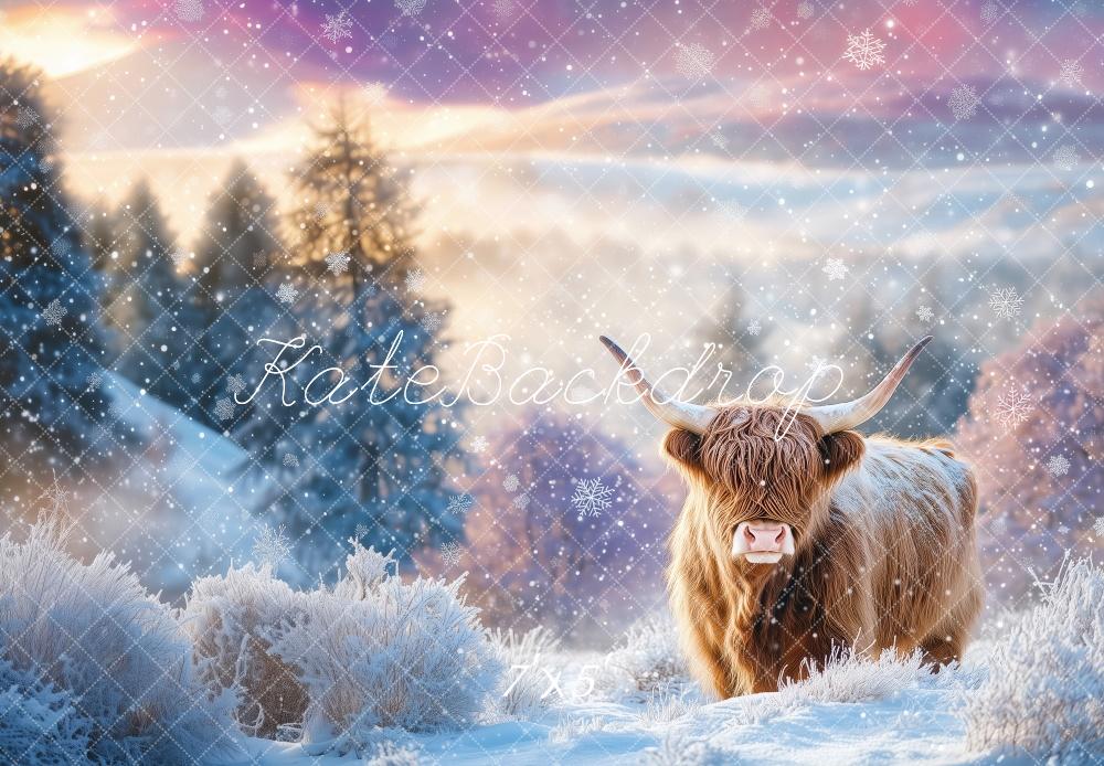 Kate Winter Highland Cow Backdrop Designed by Patty Robert - Kate Backdrop AU