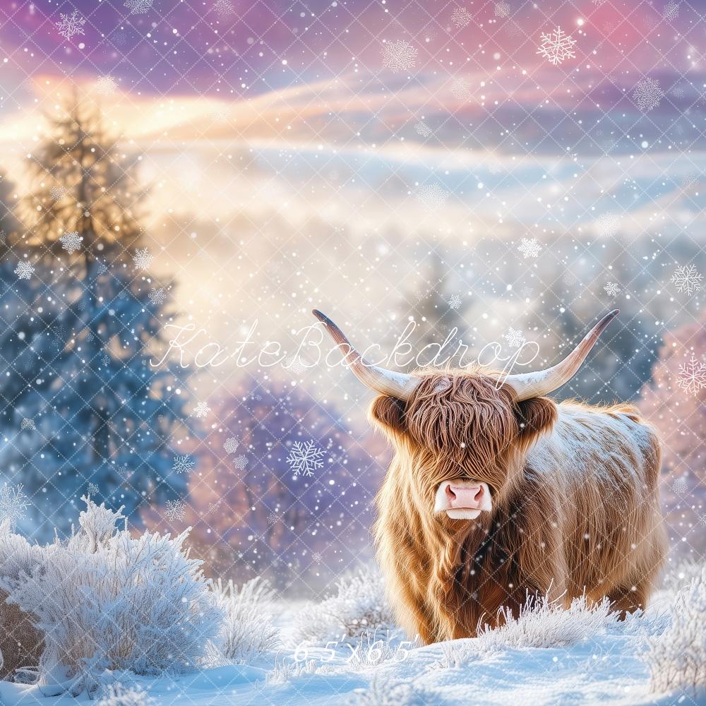 Kate Winter Highland Cow Backdrop Designed by Patty Robert - Kate Backdrop AU