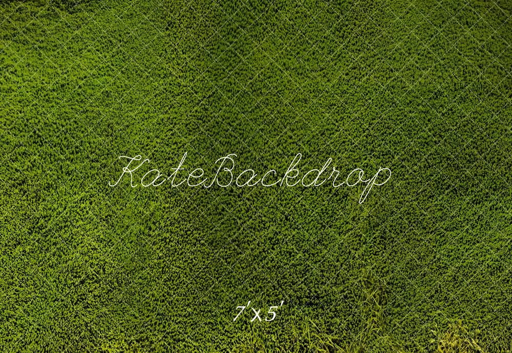 Kate Grassland Backdrop Designed by Emetselch - Kate Backdrop AU