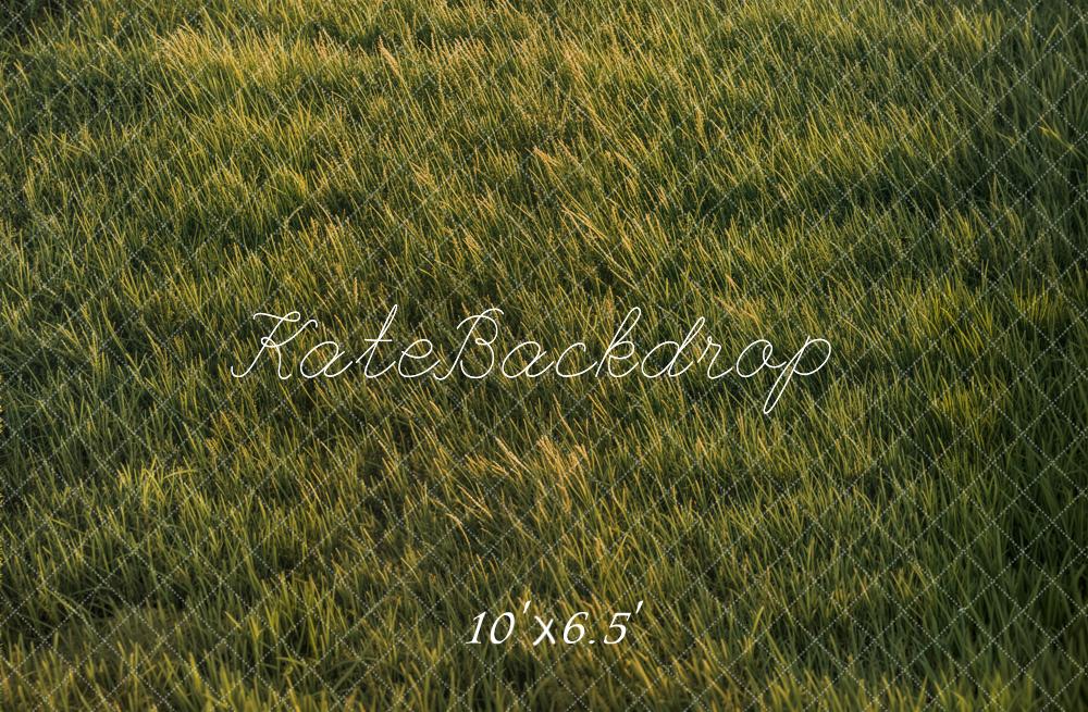 Kate Grassland Backdrop Designed by Emetselch - Kate Backdrop AU