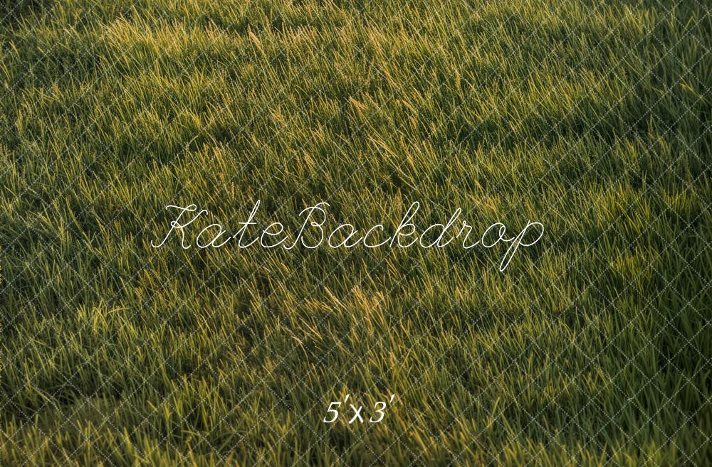 Kate Grassland Backdrop Designed by Emetselch - Kate Backdrop AU