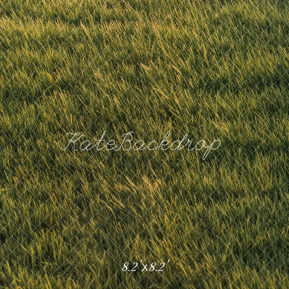 Kate Grassland Backdrop Designed by Emetselch - Kate Backdrop AU