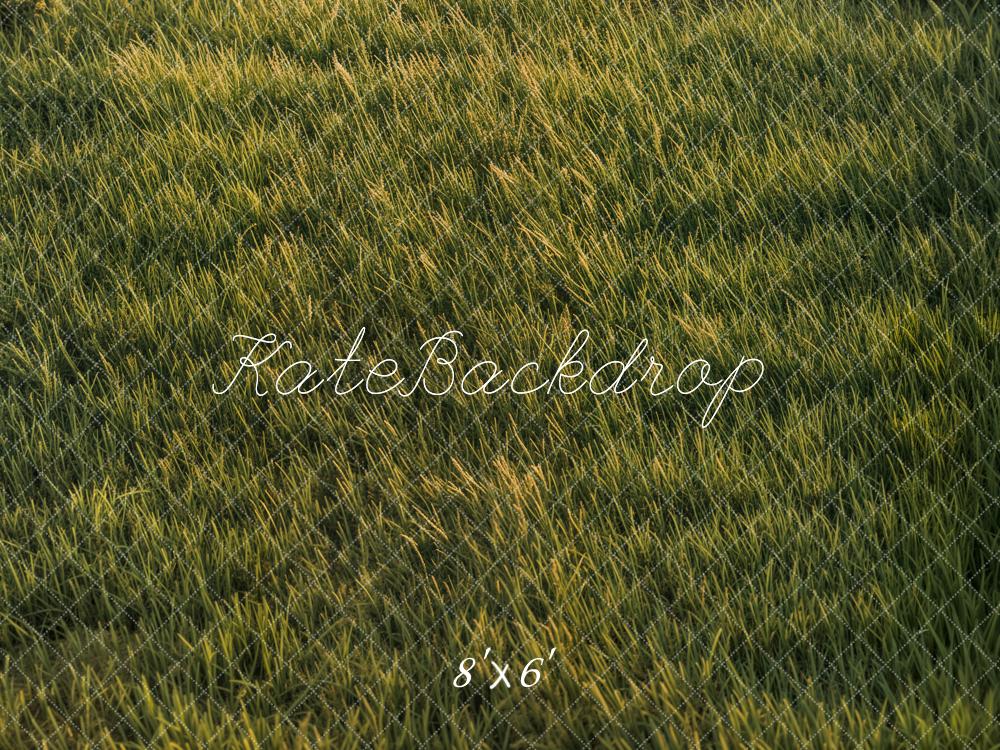 Kate Grassland Backdrop Designed by Emetselch - Kate Backdrop AU