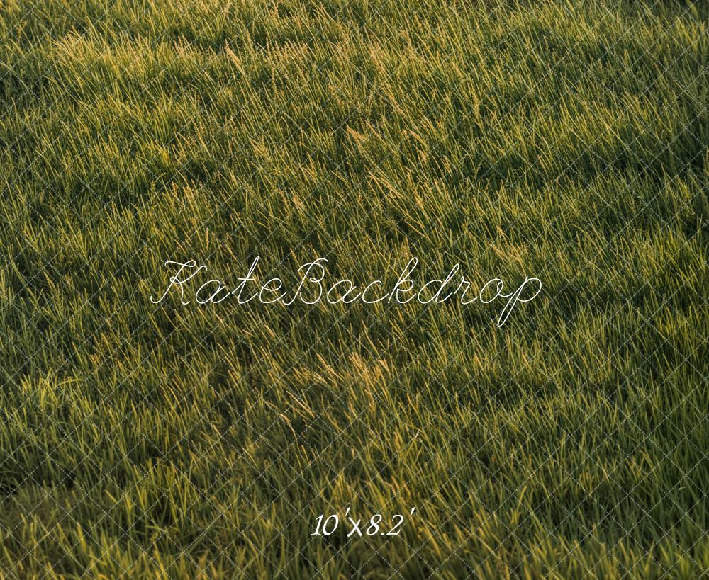 Kate Grassland Backdrop Designed by Emetselch - Kate Backdrop AU