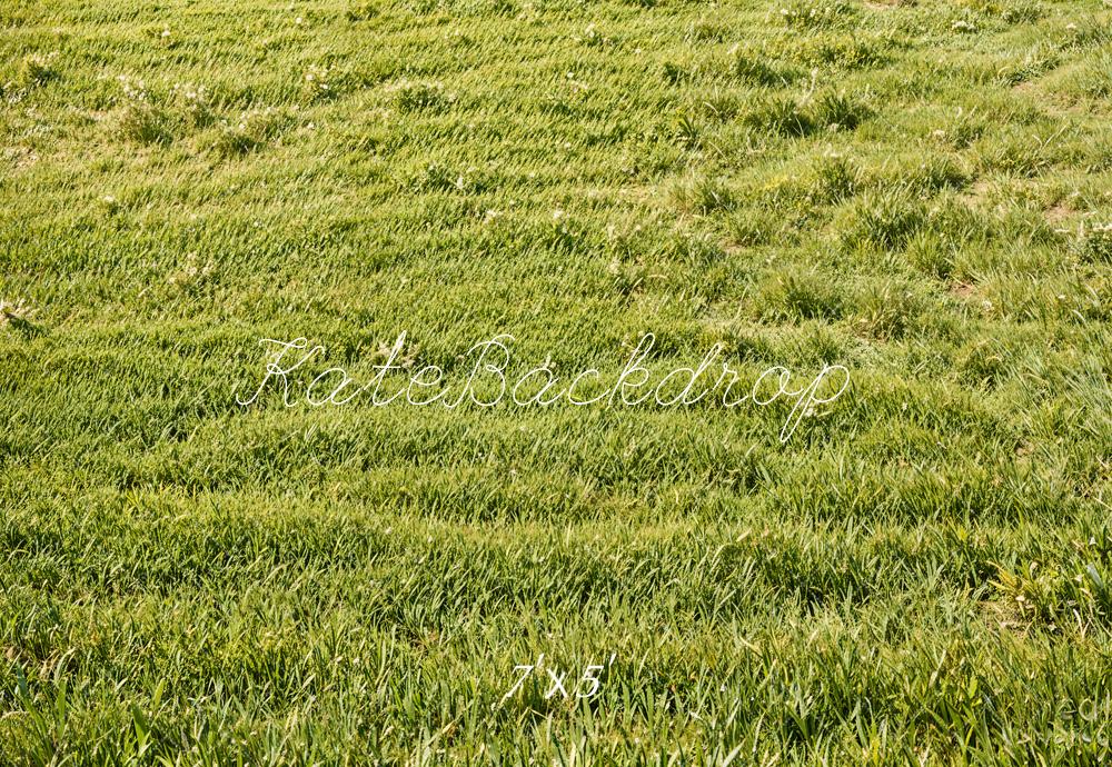 Kate Green Grassland Backdrop Designed by Emetselch - Kate Backdrop AU