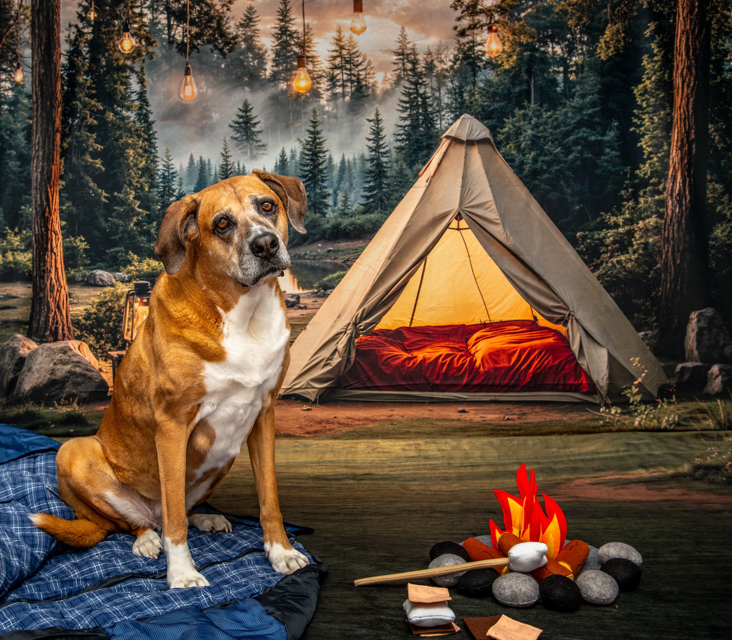 Kate Camping Forest Tent Backdrop+Lawn Floor Backdrop - Kate Backdrop AU