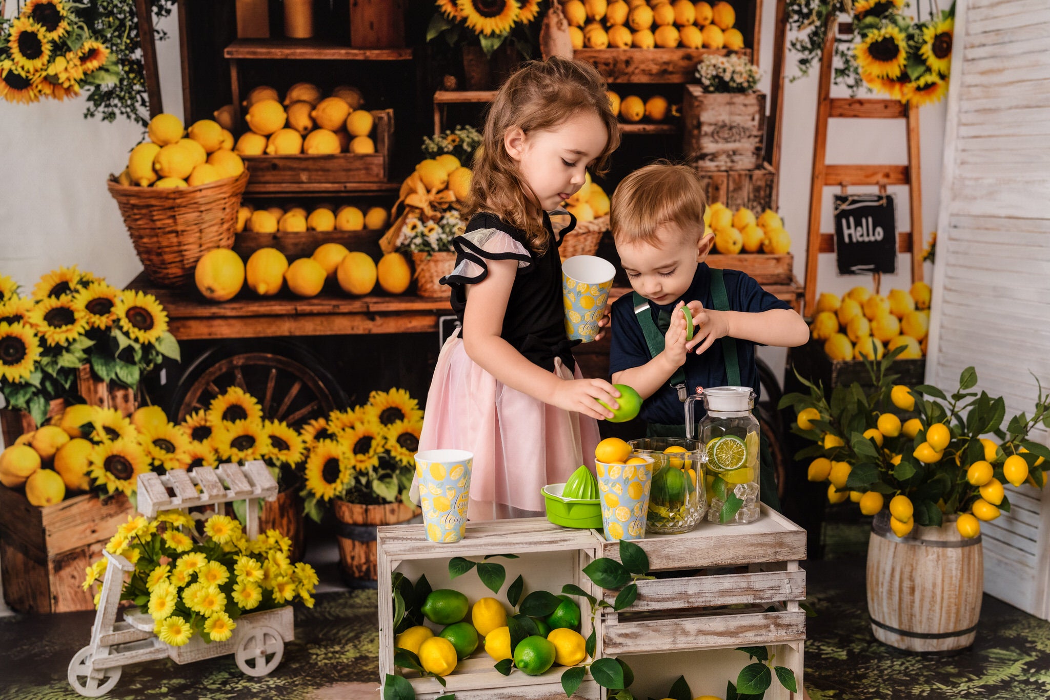 Kate Yellow lemon Stall Backdrop Designed by Emetselch