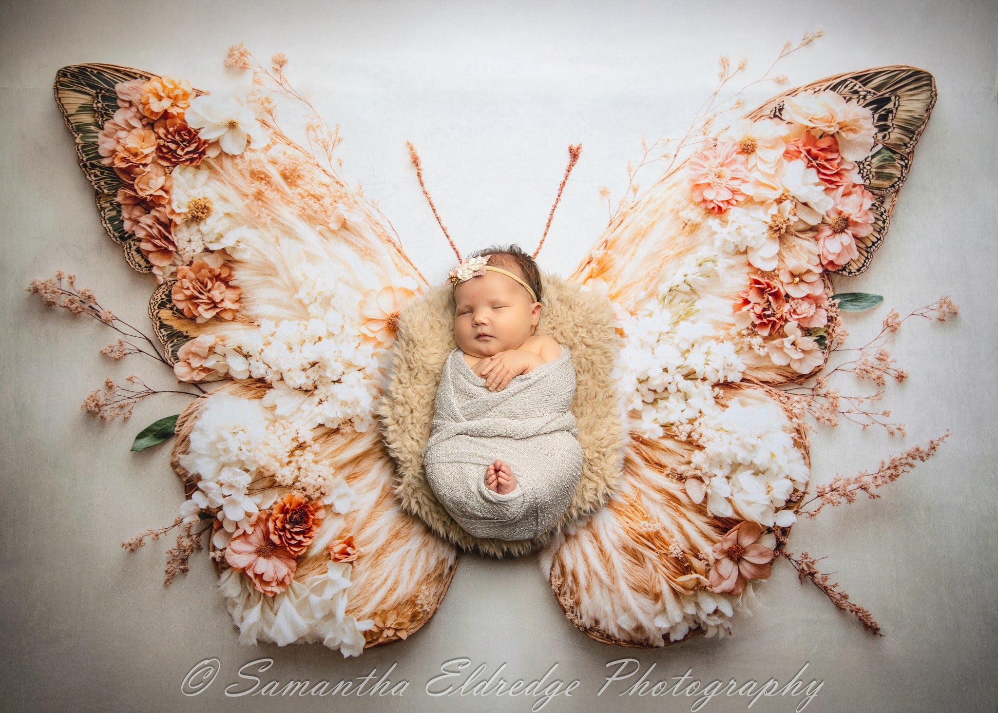 Kate Newborn Floral Butterfly Wings Floor Backdrop Designed by Emetselch - Kate Backdrop AU