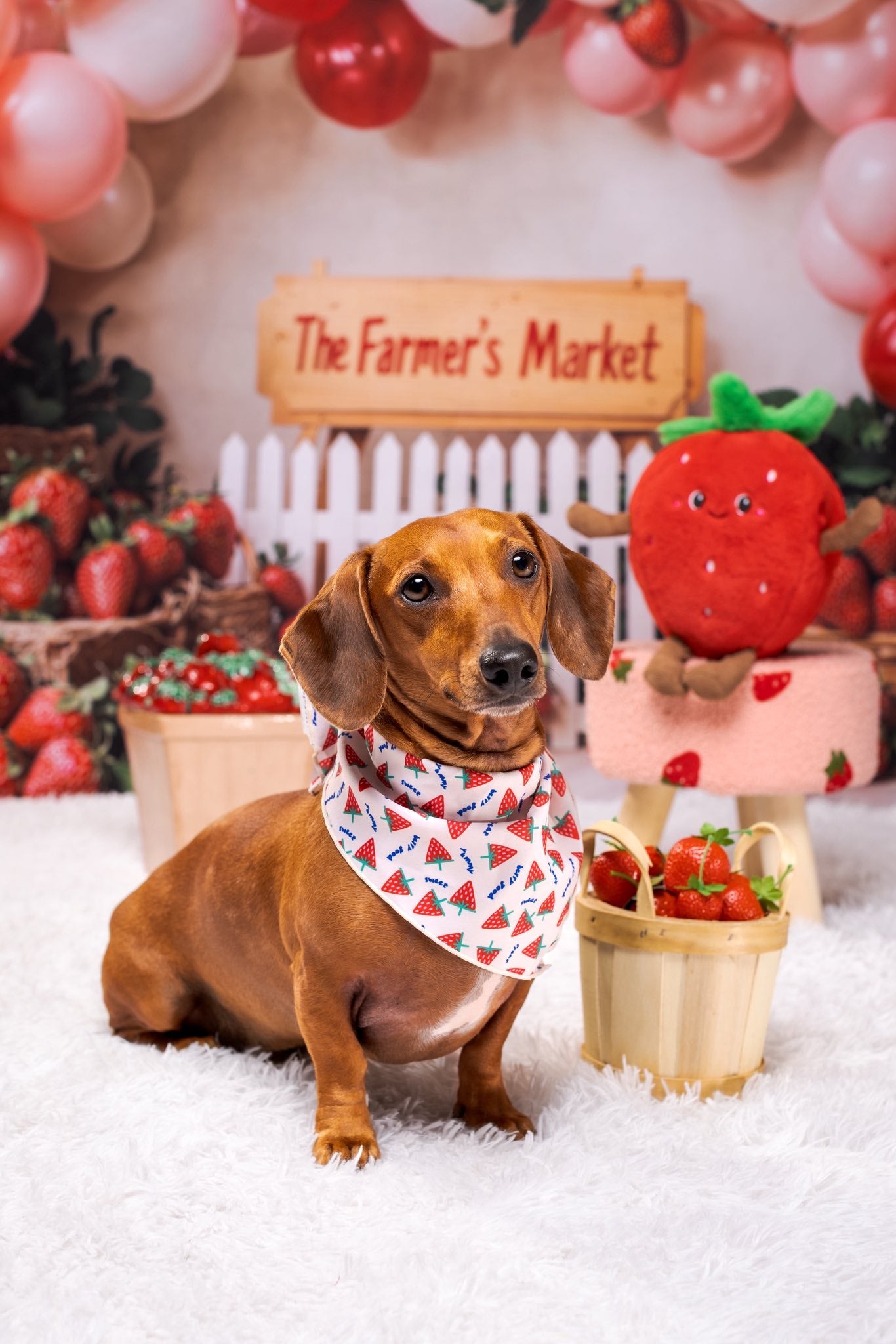 Kate Birthday Farm Market Strawberry Balloon Backdrop Designed by Emetselch
