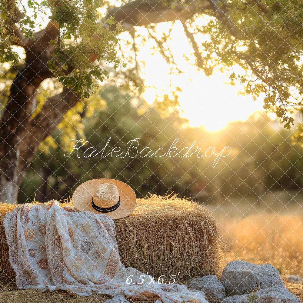 Kate Nature Sunlight Tree Haystack Backdrop Designed by Patty Roberts - Kate Backdrop AU