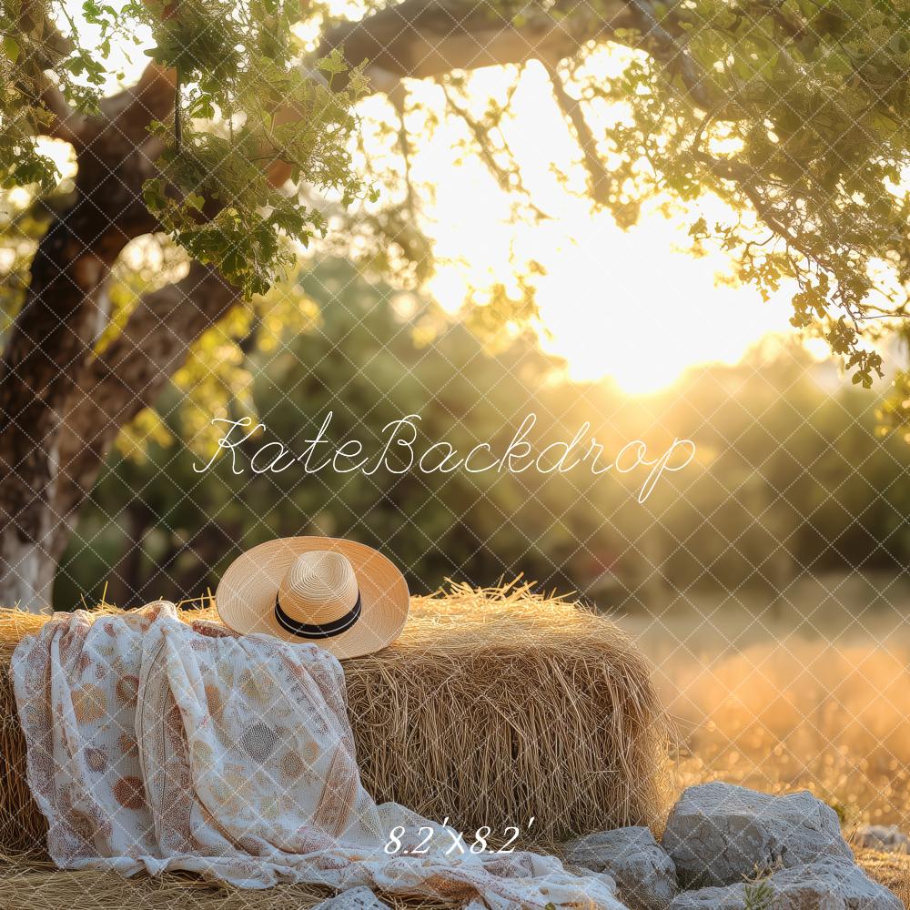Kate Nature Sunlight Tree Haystack Backdrop Designed by Patty Roberts - Kate Backdrop AU