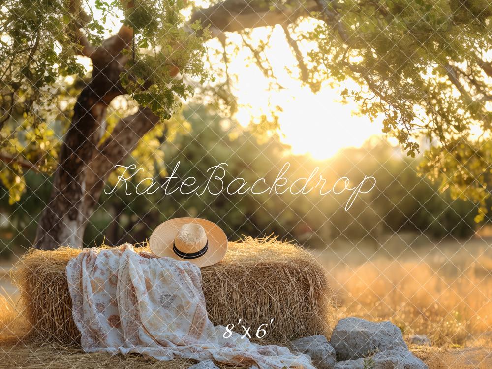Kate Nature Sunlight Tree Haystack Backdrop Designed by Patty Roberts - Kate Backdrop AU
