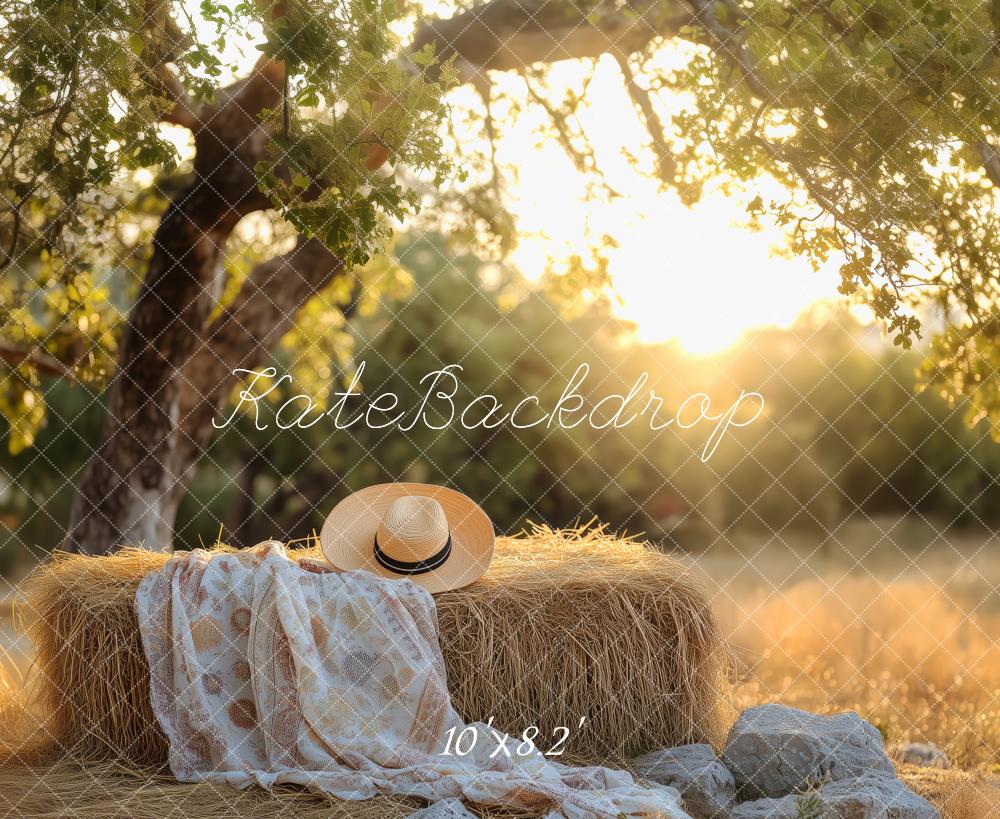 Kate Nature Sunlight Tree Haystack Backdrop Designed by Patty Roberts - Kate Backdrop AU
