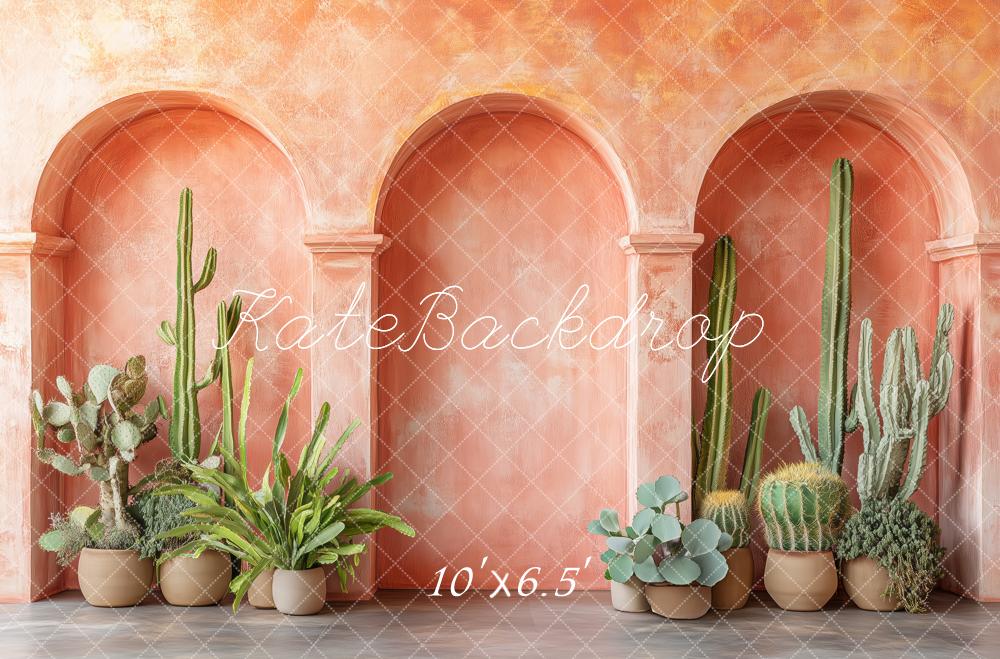 LONSALE Kate Warm Terracotta Archway Backdrop Potted Cactus Designed by Patty Roberts - Kate Backdrop AU