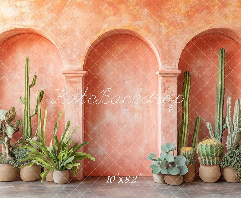 LONSALE Kate Warm Terracotta Archway Backdrop Potted Cactus Designed by Patty Roberts - Kate Backdrop AU