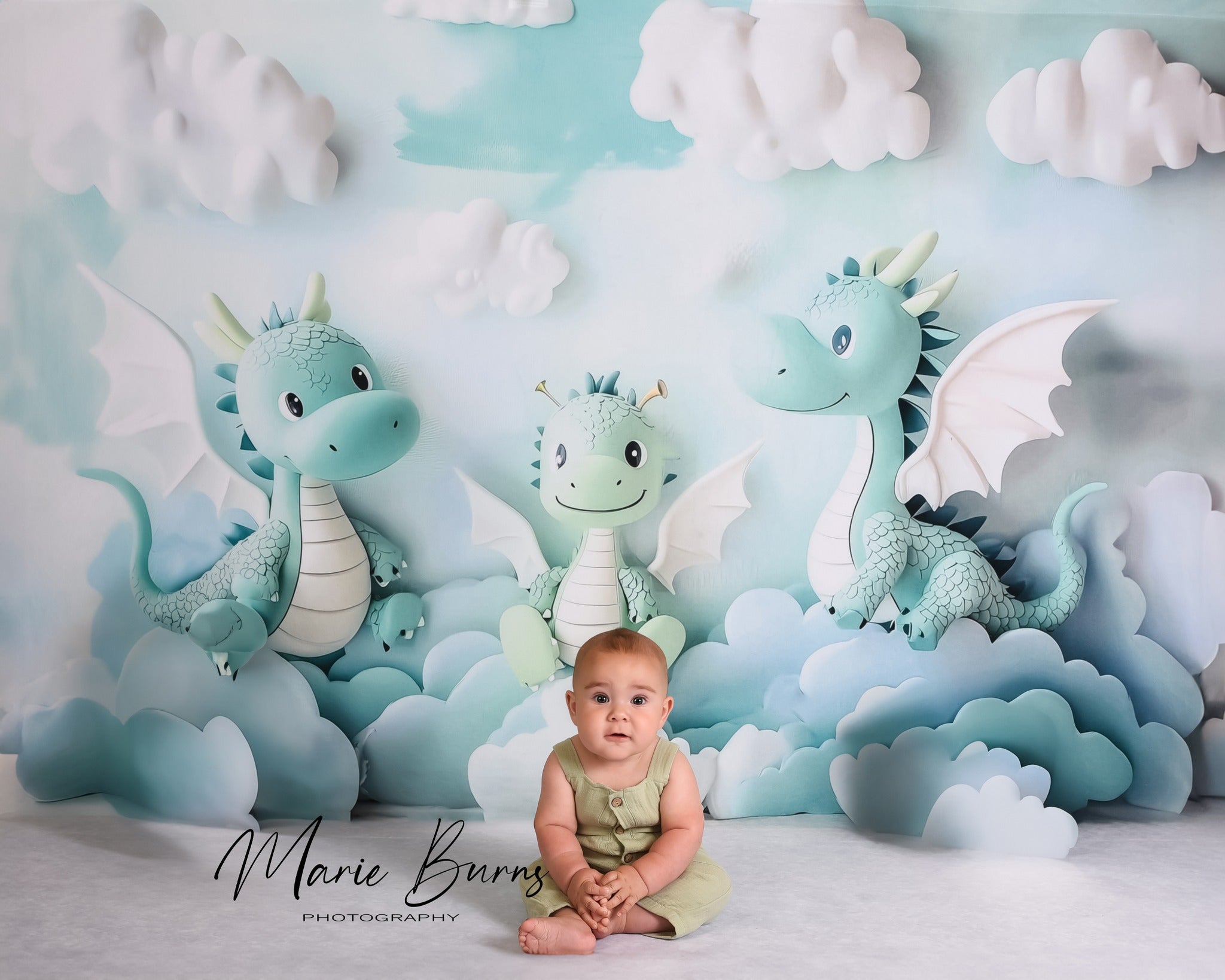Kate Cute Dragons Backdrop Designed by Ashley Paul - Kate Backdrop AU
