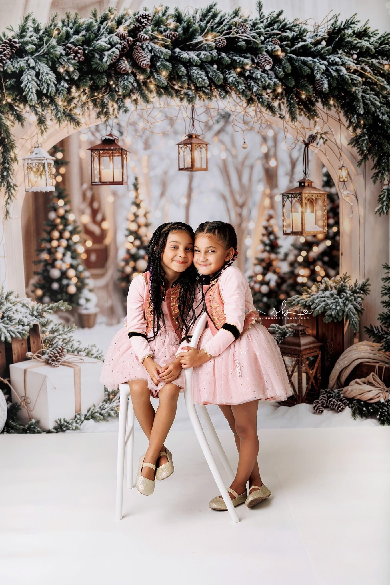 Kate Christmas Winter Arch Backdrop+Snow Floor Backdrop