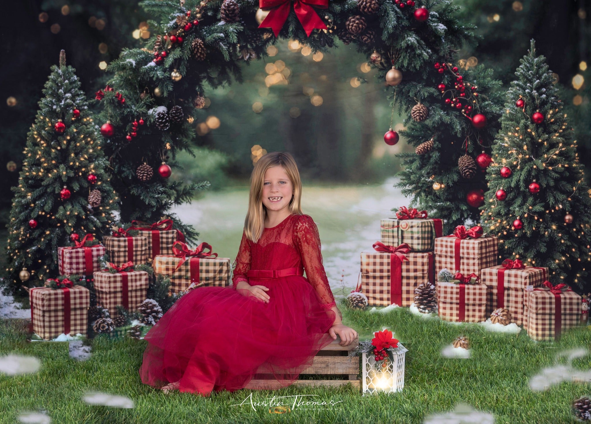 Kate Christmas Arch Presents Trees Backdrop Designed by Emetselch - Kate Backdrop AU