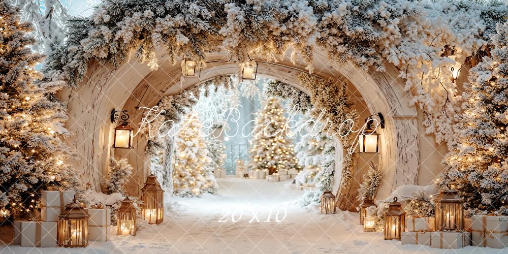 Kate Christmas Arch Winter Snow Light Backdrop Designed by Emetselch