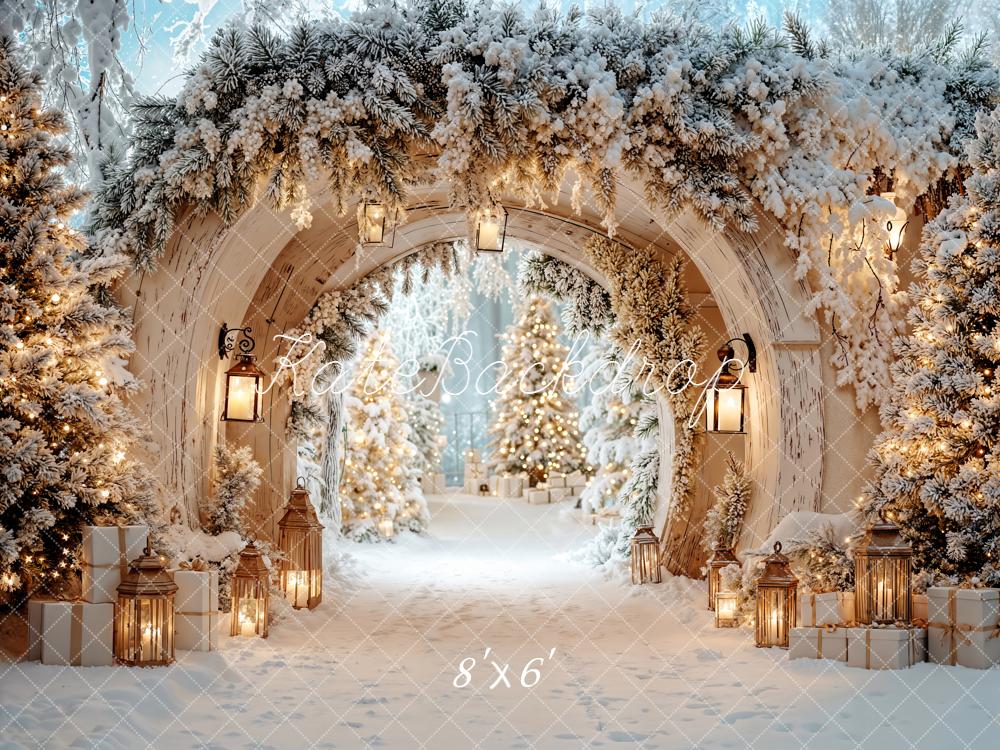 Kate Christmas Arch Winter Snow Light Backdrop Designed by Emetselch