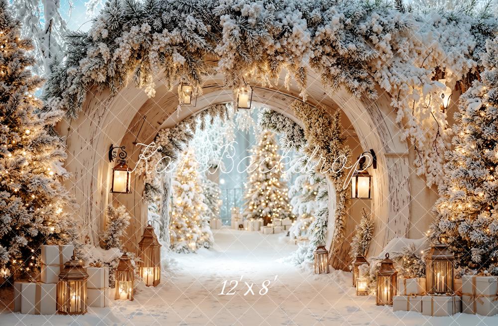 Kate Christmas Arch Winter Snow Light Backdrop Designed by Emetselch