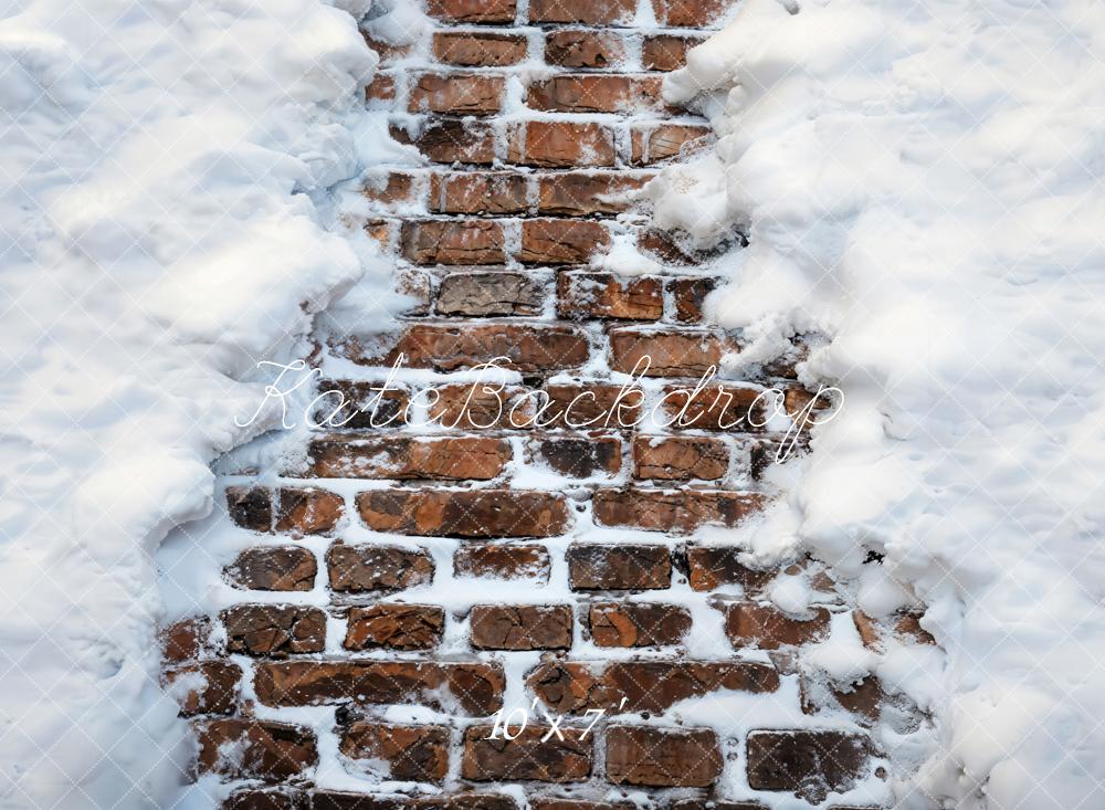 Kate Winter Snow Brick Wall Vinyl Backdrop Floor