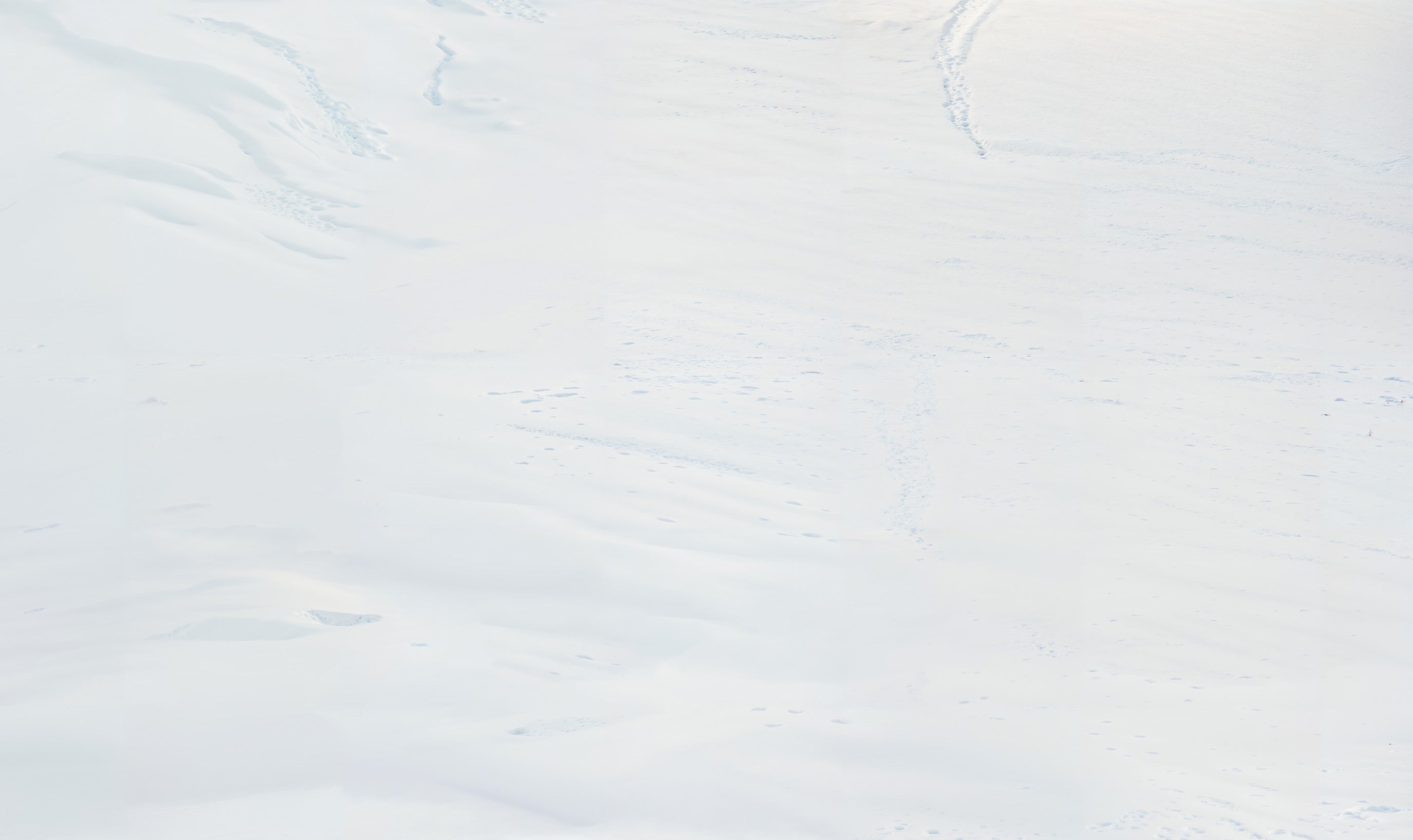 Kate White Snow Vinyl Backdrop Floor - Kate Backdrop AU