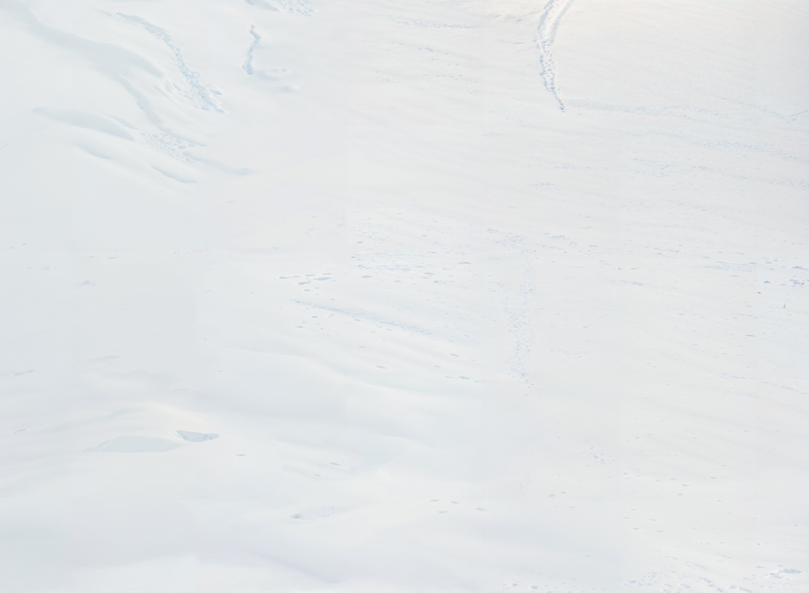 Kate White Snow Vinyl Backdrop Floor - Kate Backdrop AU