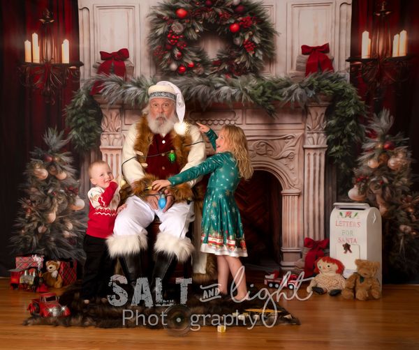 Kate Fleece Christmas Tree Fireplace Backdrop Designed by Emetselch - Kate Backdrop AU