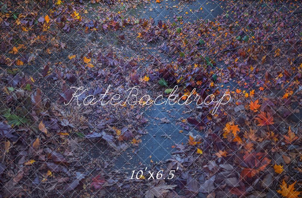 Kate Fleece Halloween Fallen Leaves Path Backdrop Designed by Emetselch - Kate Backdrop AU