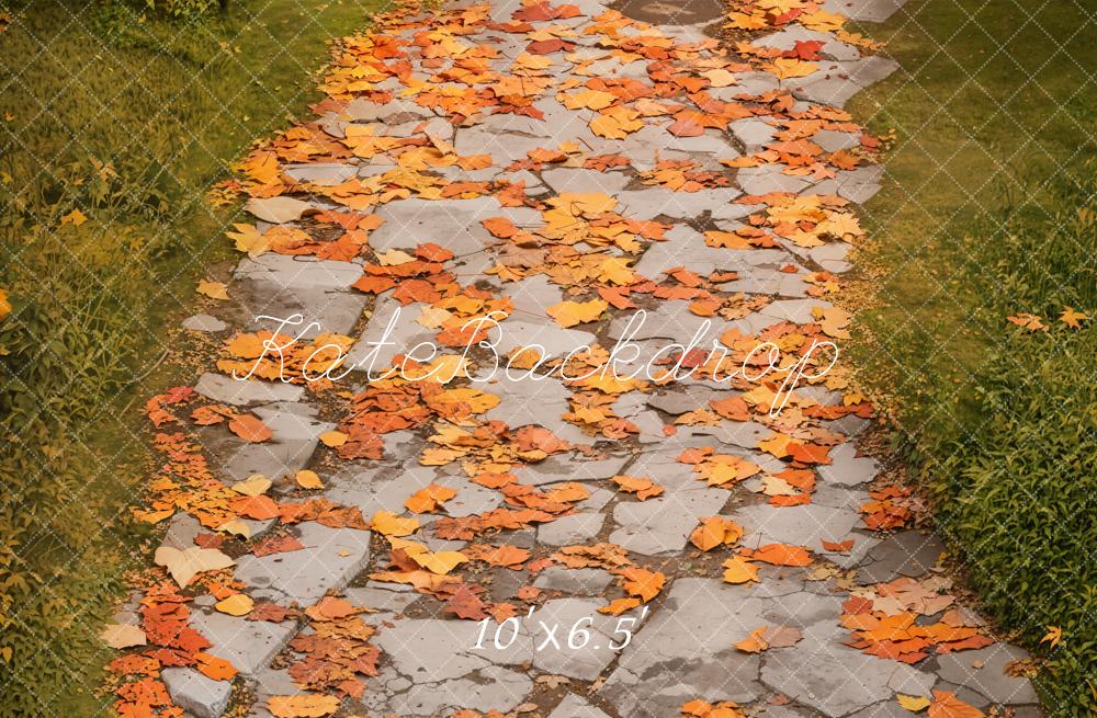 Kate Fleece Autumn Leaves Road Backdrop Designed by Emetselch - Kate Backdrop AU