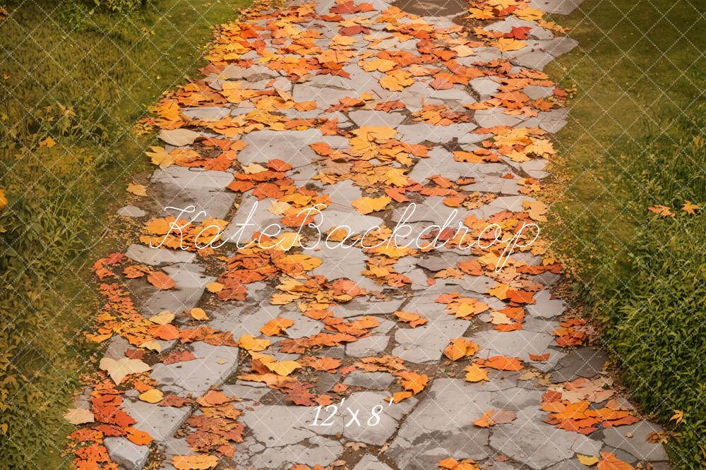 Kate Fleece Autumn Leaves Road Backdrop Designed by Emetselch - Kate Backdrop AU