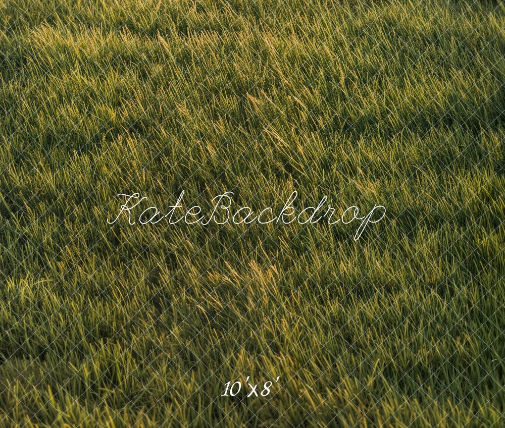 BH8053536U Kate Fleece Grassland Backdrop