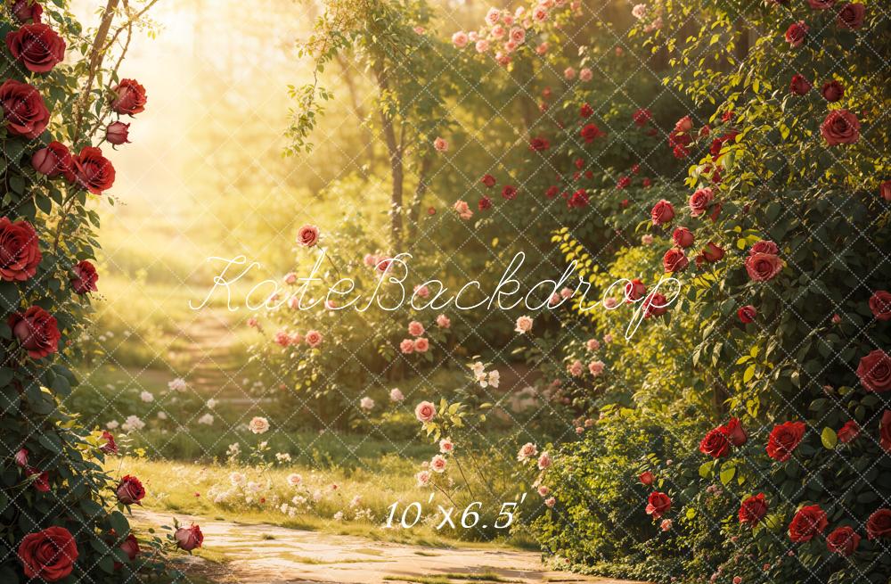Kate Fleece Valentine Garden Rose Sunlight Backdrop Designed by Emetselch - Kate Backdrop AU