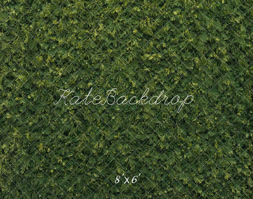 Kate Fleece Grass Backdrop Designed by Kate Image