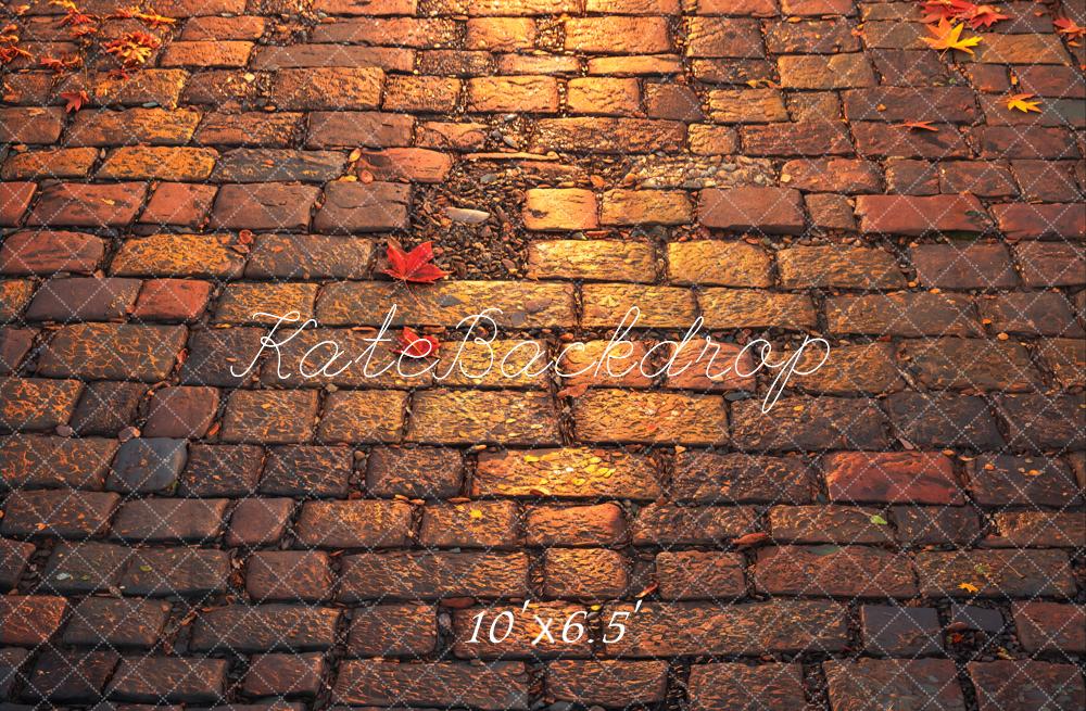 Kate Fleece Autumn Brick Floor Backdrop Designed by Emetselch - Kate Backdrop AU