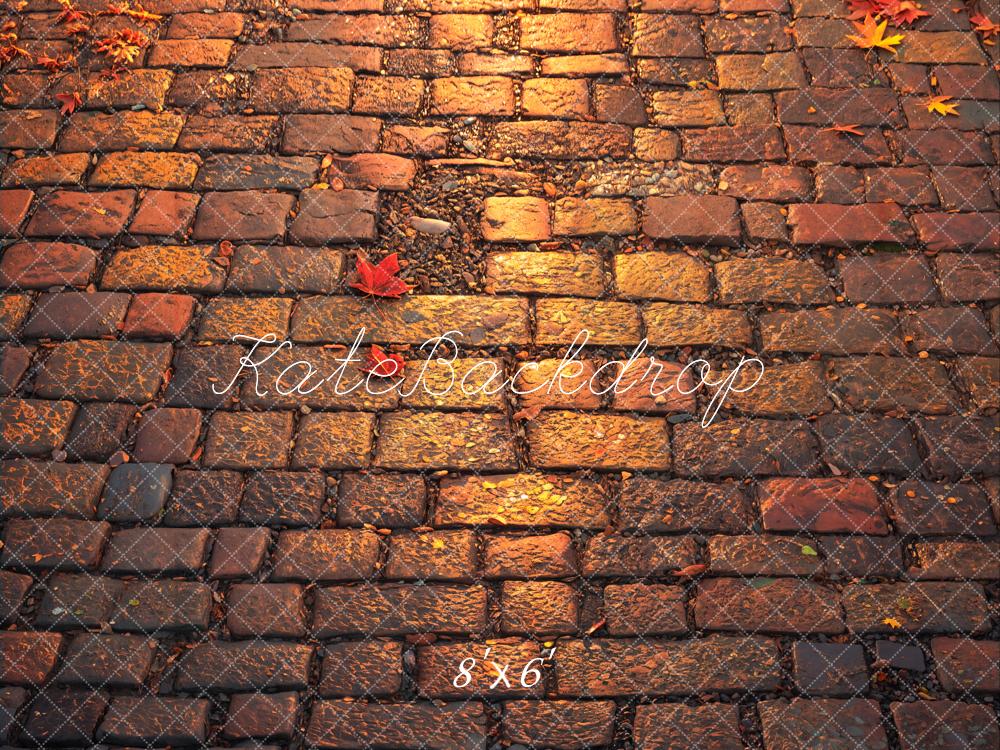 Kate Fleece Autumn Brick Floor Backdrop Designed by Emetselch - Kate Backdrop AU